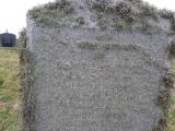 image of grave number 778160